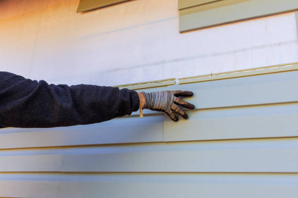 Best Vinyl Siding Installation  in Lackland Af, TX